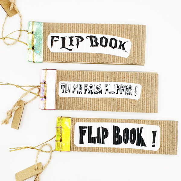 Couvertures Flip book Lot2